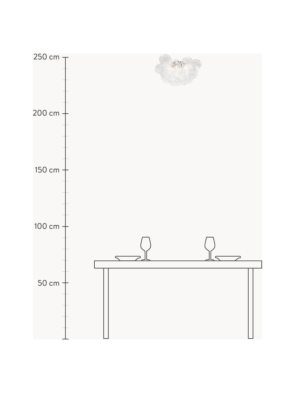 Ručně foukané skleněné stropní svítidlo Gross, Transparentní, Ø 50 cm, V 27 cm