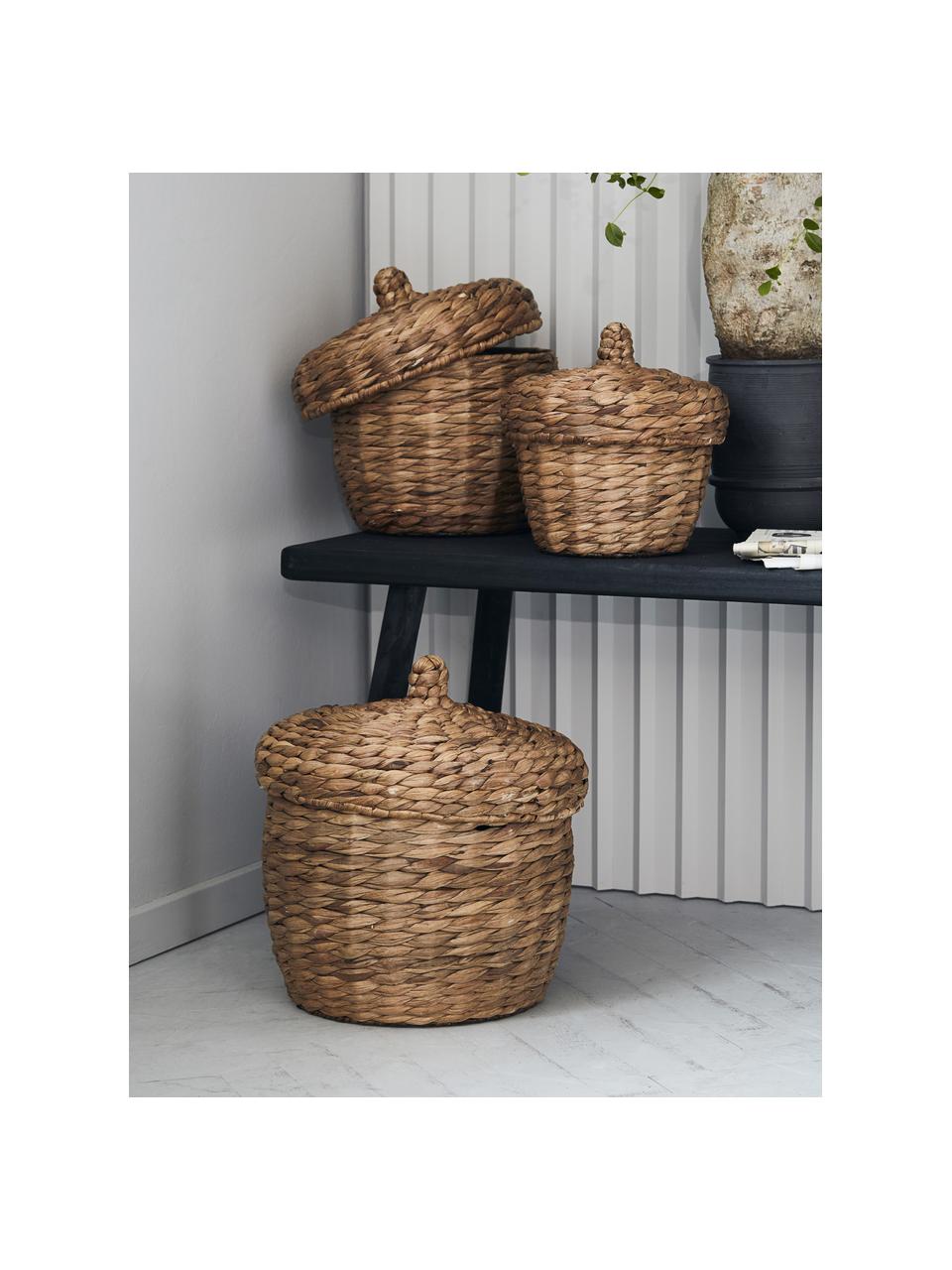 Set de cestas con tapadera Aske, 3 uds., Cesta: jacintos de agua, Estructura: metal, Marrón, Set de diferentes tamaños