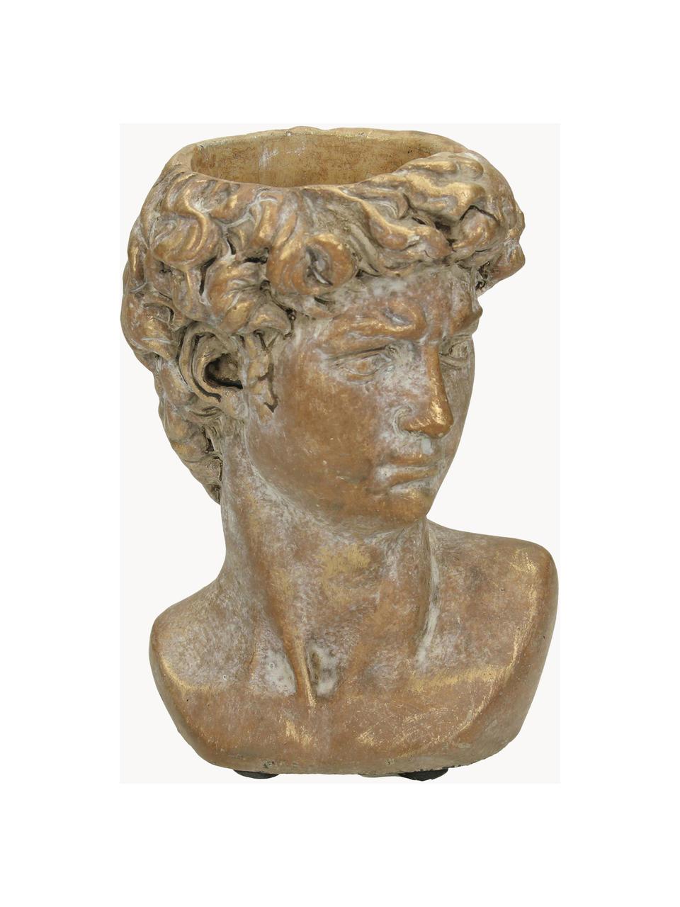 Portavaso in cemento David, Cemento, Marrone, dorato, Larg. 10 x Alt. 15 cm