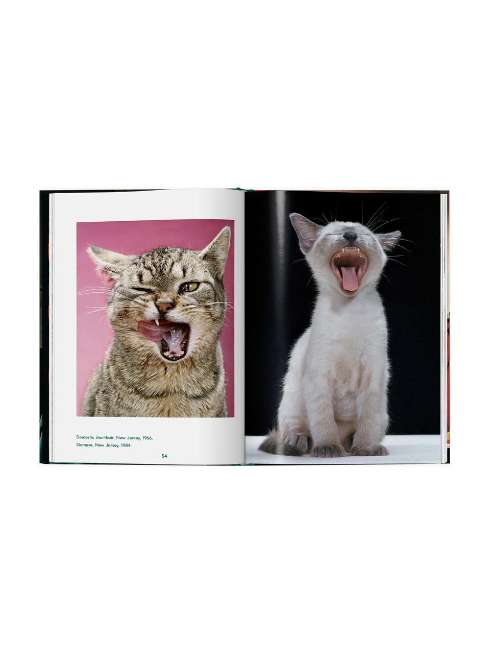 Libro illustrato Cats. Photographs 1942–2018, Carta, cornice rigida, Cats. Photographs 1942–2018, Larg. 14 x Alt. 20 cm