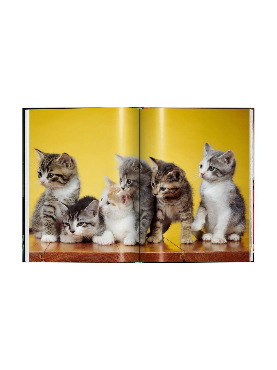 Ilustrovaná kniha Cats. Photographs 1942–2018, Papír, pevná vazba, Cats. Photographs 1942–2018, Š 14 cm, V 20 cm