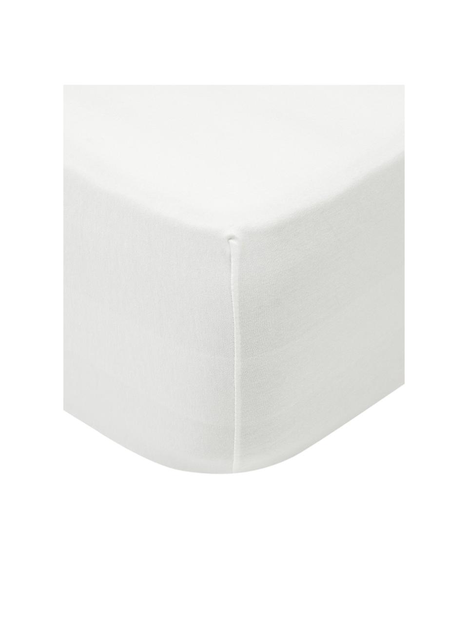 Spannbettlaken Lara, Jersey-Elasthan, 95% Baumwolle, 5% Elasthan, Cremeweiß, B 90 x L 200 cm