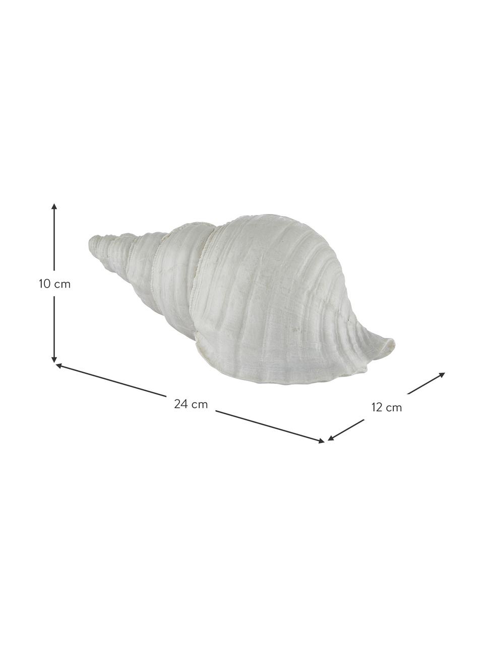 Deko-Objekt Serafina Shell, Kunststoff, Weiß, 24 x 10 cm