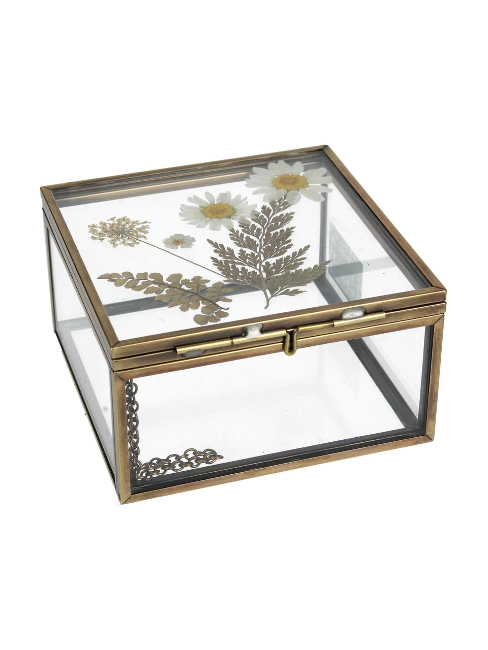 Pudełko do przechowywania Dried Flowers, Złoty, transparentny, S 10 x W 6 cm