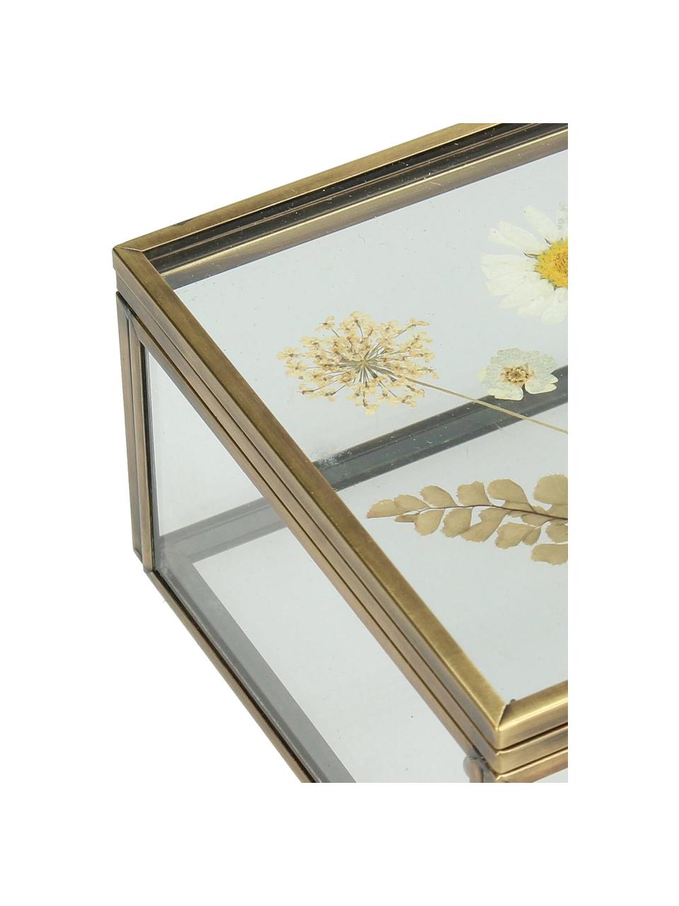 Aufbewahrungsbox Dried Flowers, Rahmen: Metall, beschichtet, Gold, Transparent, B 10 x H 6 cm