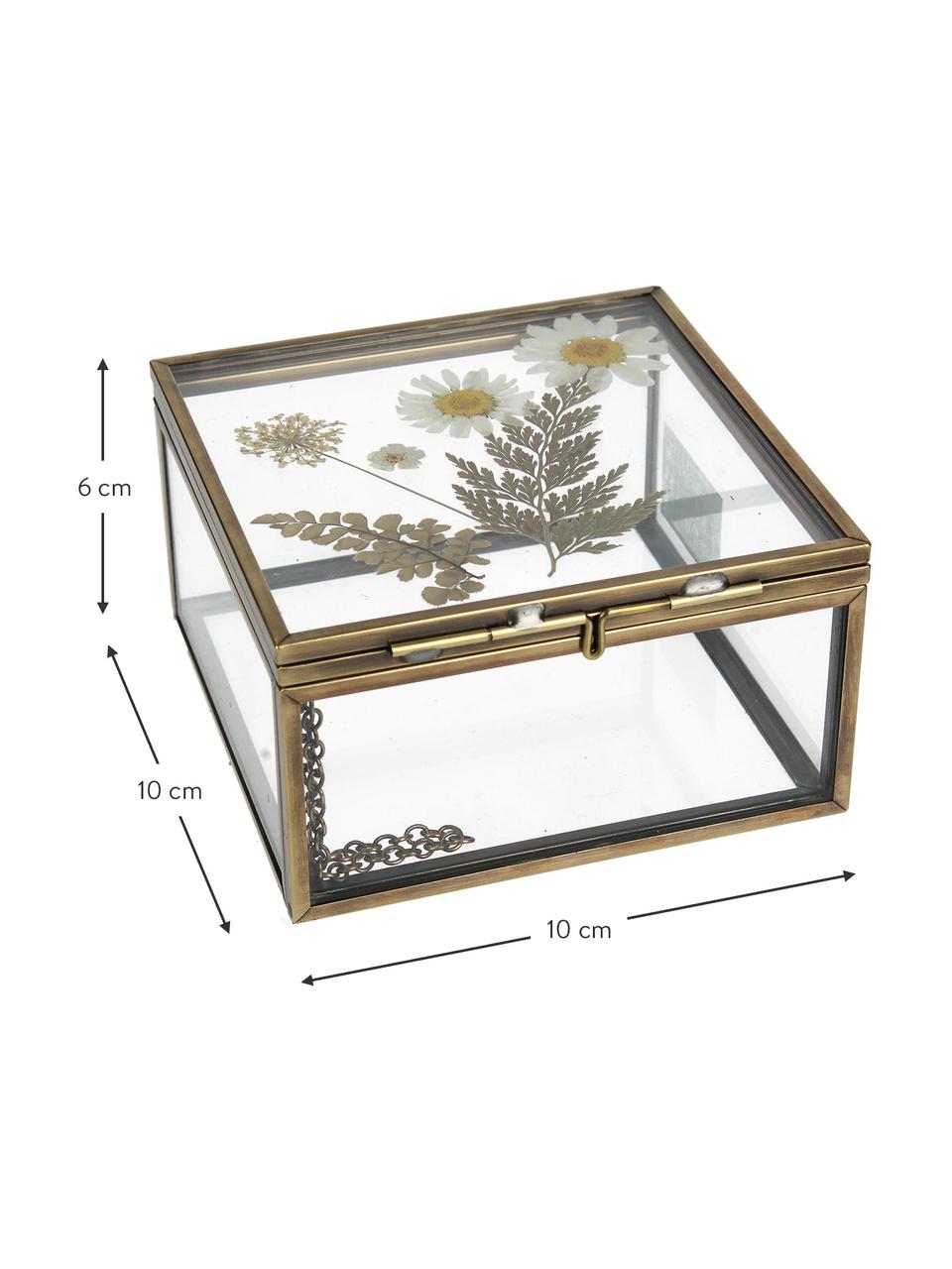 Skladovací box Dried Flowers, Zlatá, transparentní, Š 10 cm, V 6 cm