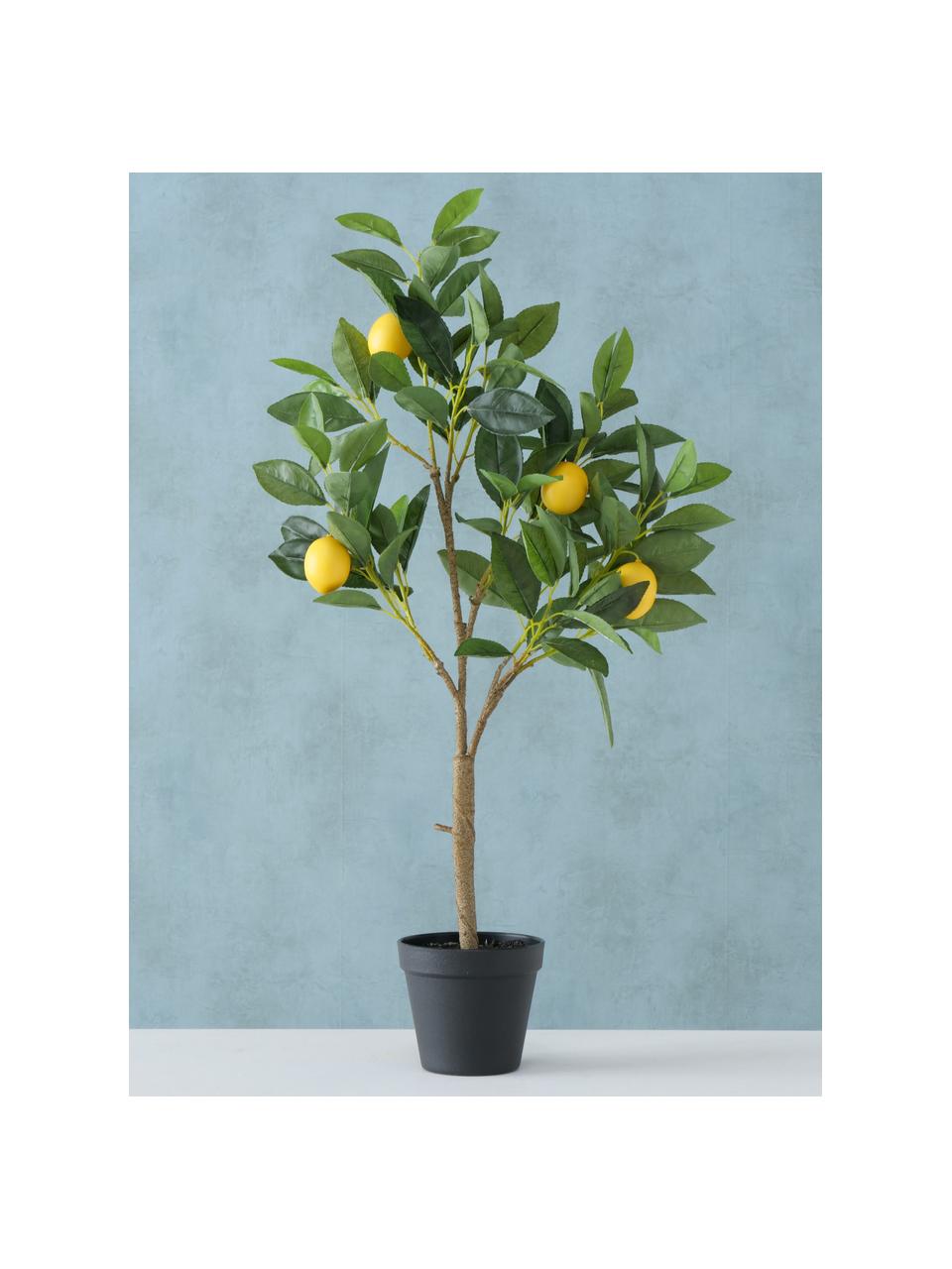 Planta artificial limonero Gino, Plástico, Multicolor, An 30 x Al 73 cm