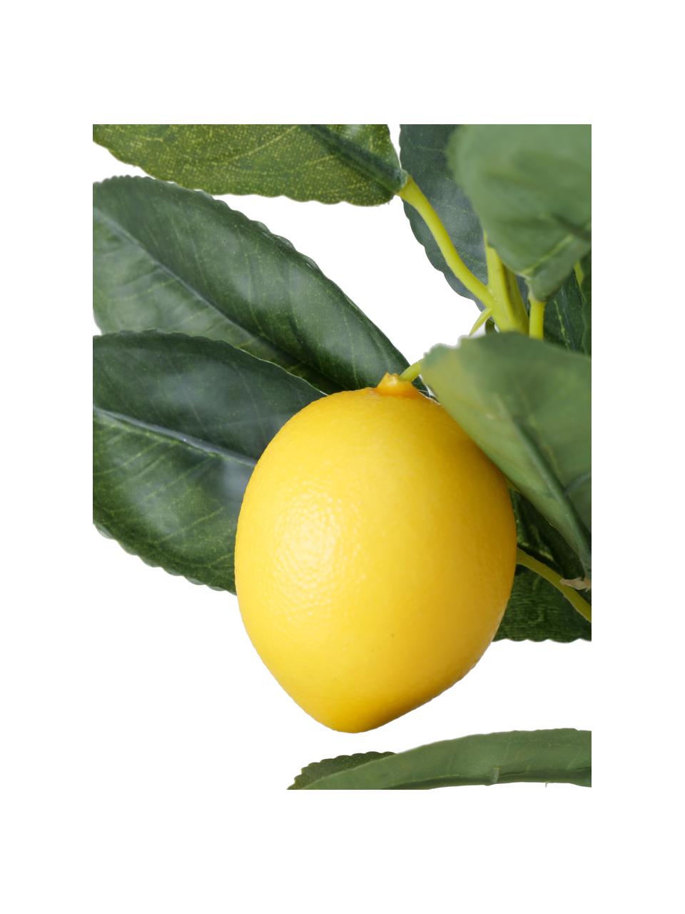 Albero di limone artificiale Gino, Materiale sintetico, Multicolore, Larg. 30 x Alt. 73 cm