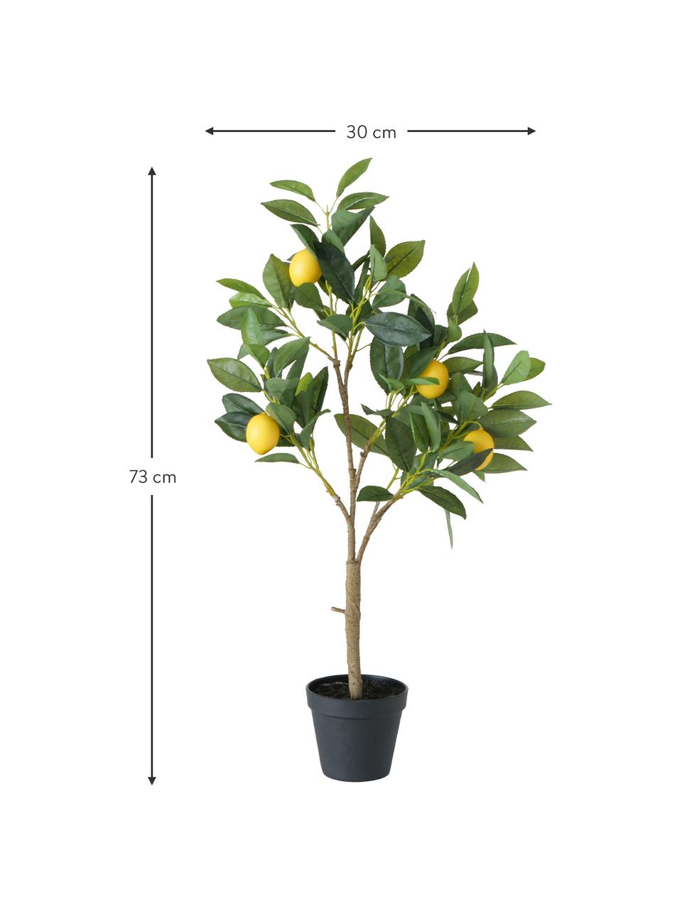 Planta artificial limonero Gino, Plástico, Multicolor, An 30 x Al 73 cm