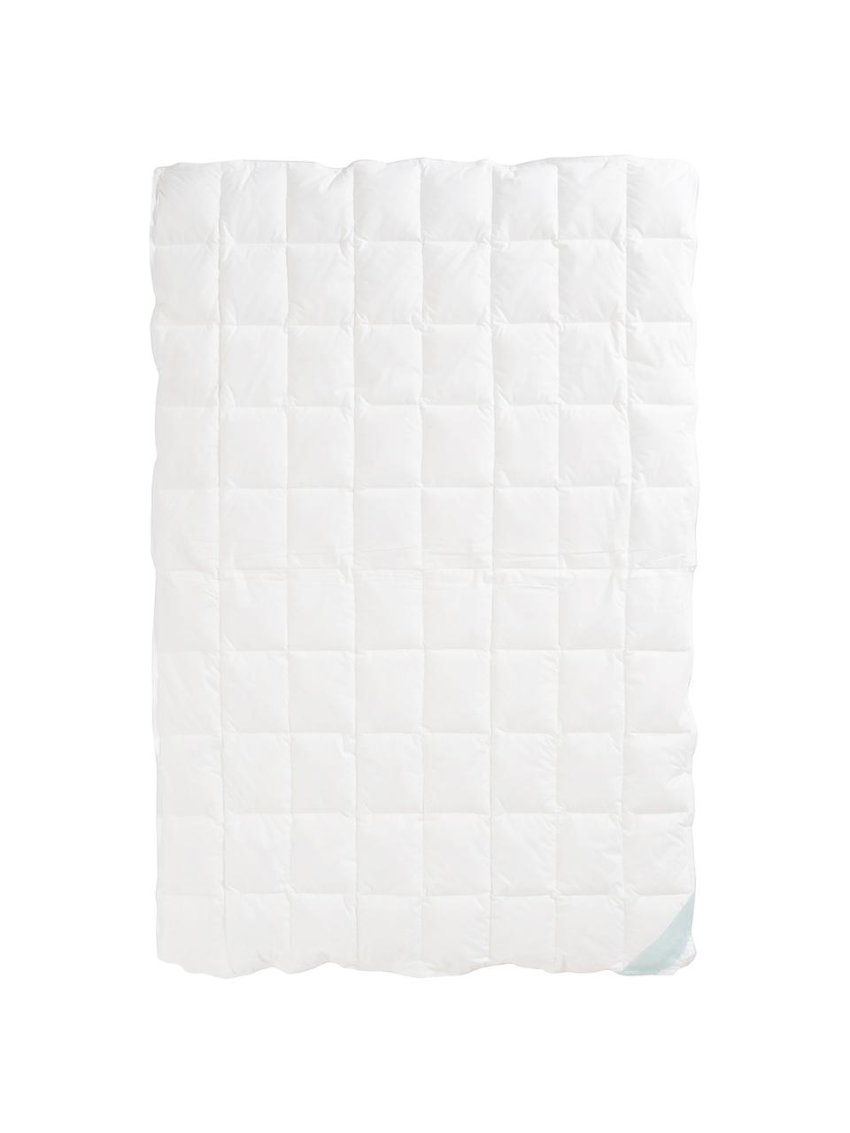 Edredón cuatro estaciones de plumón Premium, normal, Blanco, Cama 135/140 cm (200 x 200)