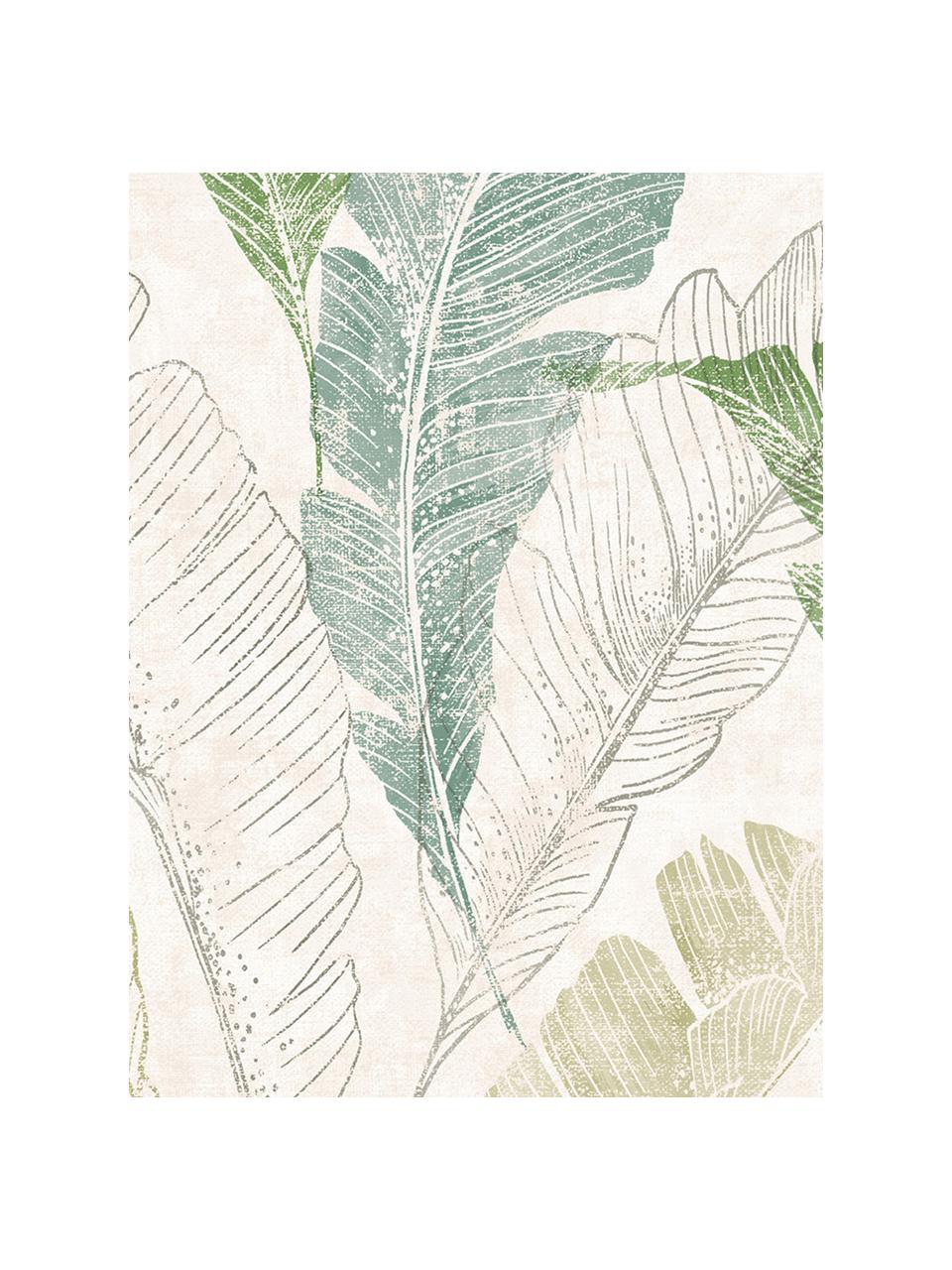 Carta da parati Capri Tropical Leaf, Rivestimento: vinile, Beige, tonalità verdi, Larg. 53 x Lung. 1005 cm