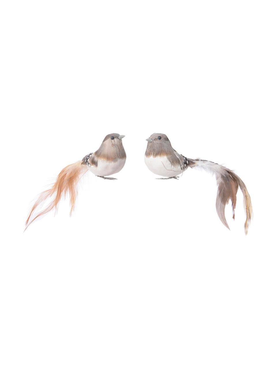 Adornos navideños con clip Gall, 2 uds., Figura: espuma, plumas, Beige, gris, blanco, An 18 x Al 5 cm