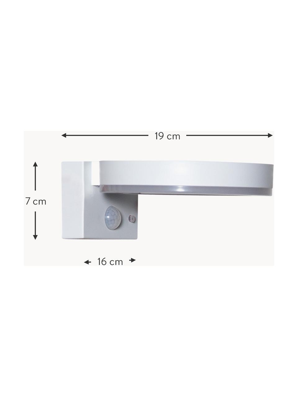 Medialux: Illuminazione, Multimedia, Bricolage - Solar LED Applique da  esterno Ryse Sensore di movimento IP44 3000K 30lm Antracite - Paulmann 94246