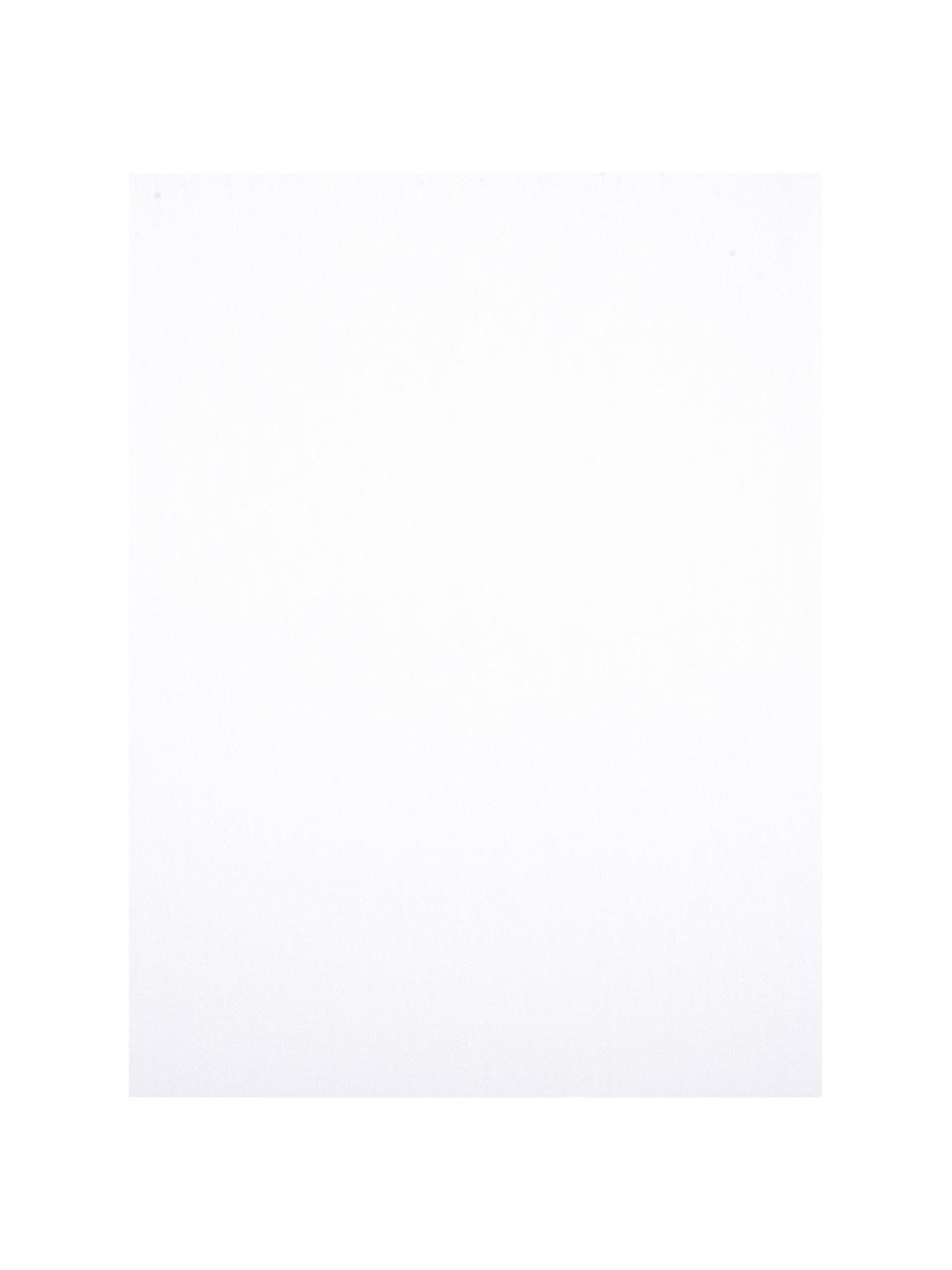 Biancheria da letto in raso di cotone bianco Comfort, Tessuto: raso Densità del filo 250, Bianco, 240 x 300 cm + 2 federe 50 x 80 cm