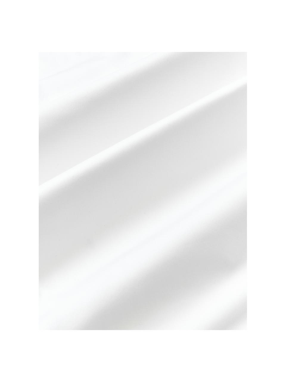 Drap plat en satin de coton Carlotta, Blanc crème, brun, larg. 240 x long. 280 cm