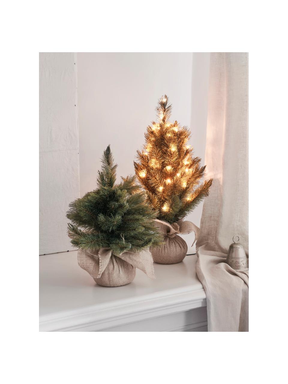 Albero di Natale piccolo con luci a LED Forest, Verde, Ø 61 x Alt. 90 cm