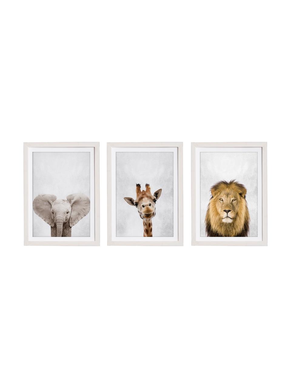 Set 3 stampe digitali incorniciata Wild Animals, Immagine: stampa digitale su carta, Cornice: legno verniciato, Multicolore, Larg. 35 x Alt. 45 cm