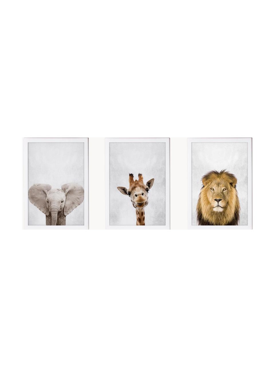 Ingelijste digitale printsset Wild Animals, 3-delig, Lijst: gelakt hout, Meerkleurig, B 35 x H 45 cm