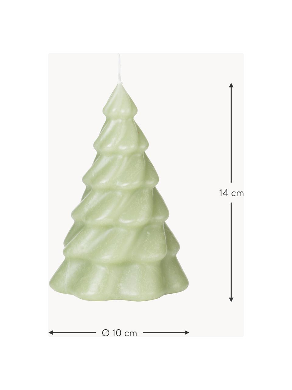 Candela natalizia a forma di abete Pinus, Cera, Verde salvia, Ø 10 x Alt. 14 cm