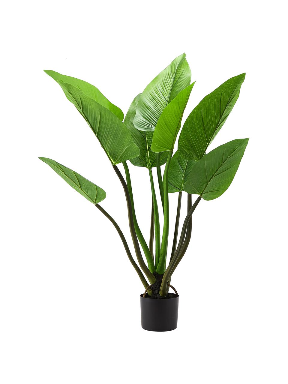 Kunstplant Alocasia in een plantenpot, Kunststof, Groen, H 91 cm