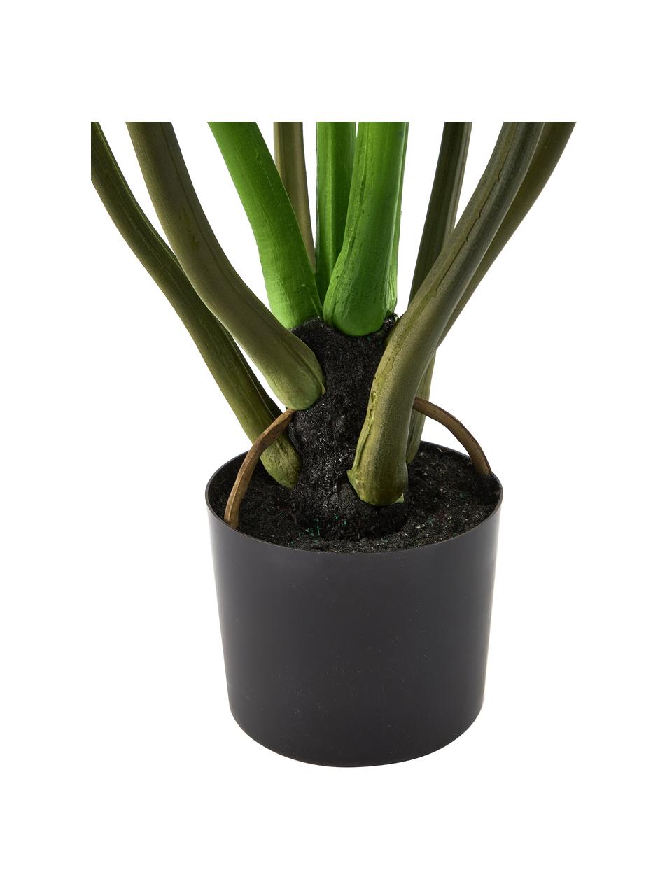 Plante artificielle en pot Alocasia, Plastique, Vert, haut. 91 cm