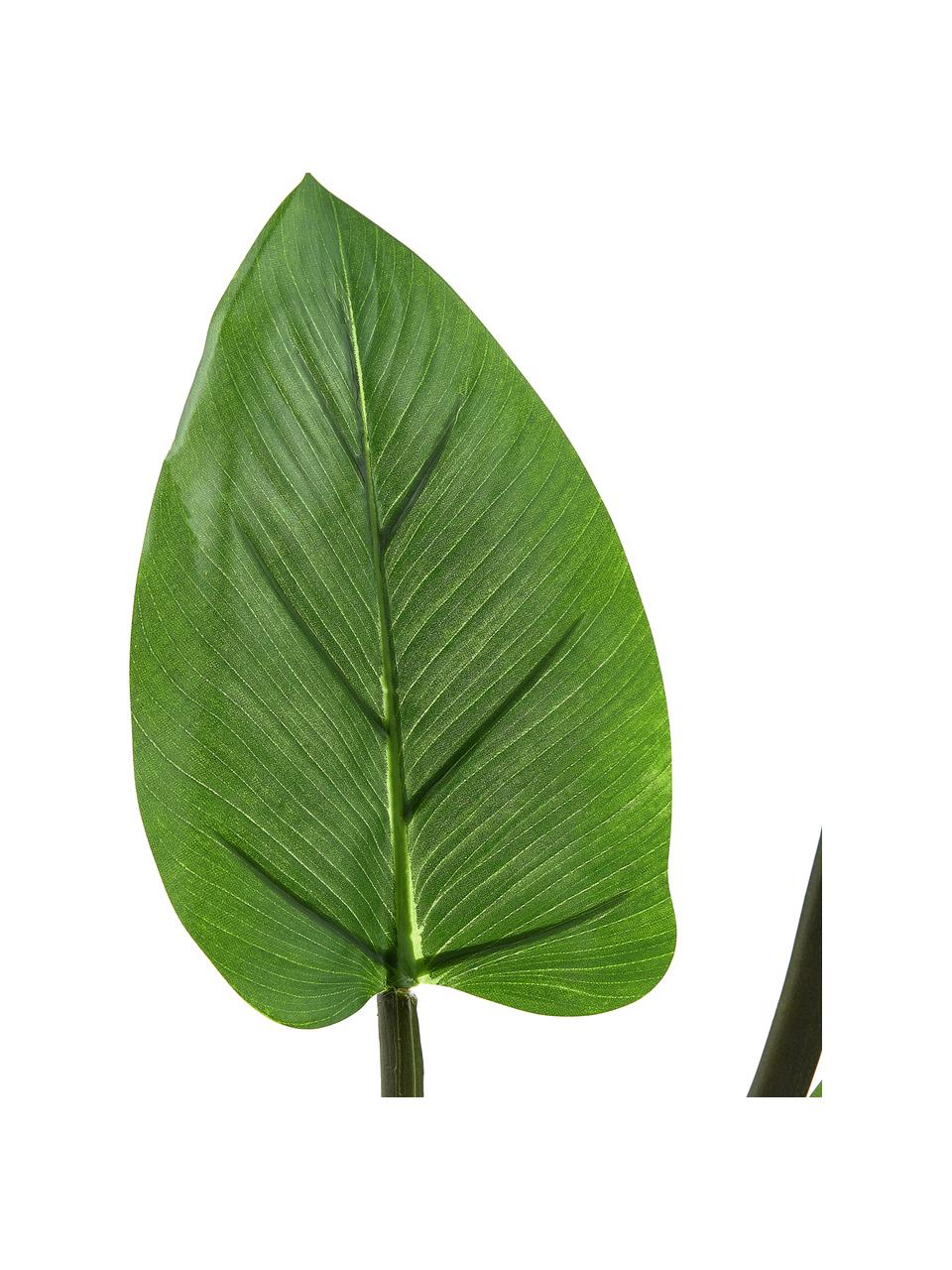 Umělá rostlina v květináči Alocasia, Umělá hmota, Zelená, V 91 cm