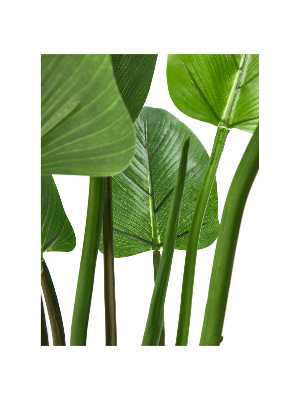 Plante artificielle en pot Alocasia, Plastique, Vert, haut. 91 cm