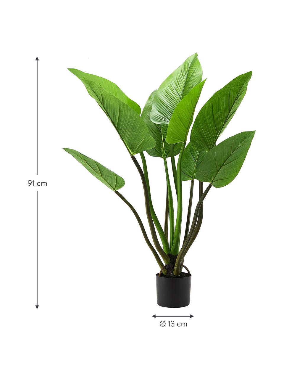 Kunstplant Alocasia in een plantenpot, Kunststof, Groen, H 91 cm