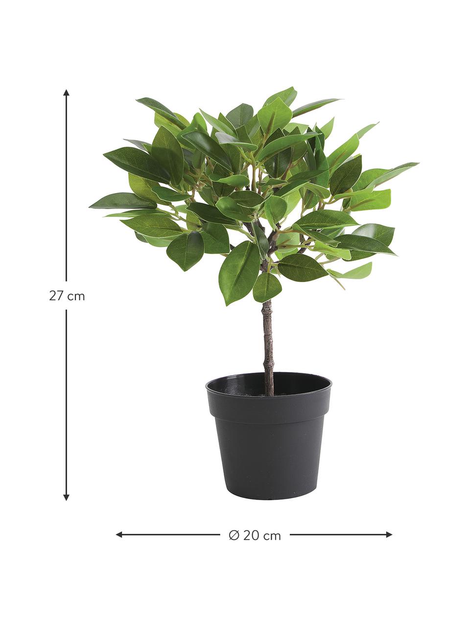 Plante artificielle Anubias, Plastique, Vert, noir, Ø 20 x haut. 27 cm