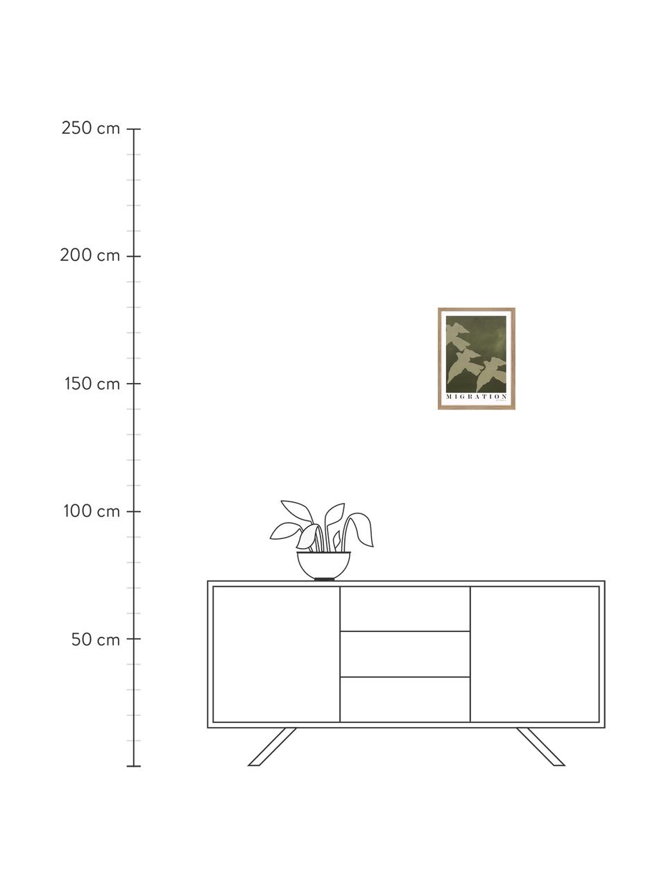 Stampa digitale incorniciata Migration, Immagine: cartoncino pressato duro, Cornice: legno di quercia, Verde, bianco, nero, Larg. 30 x Alt. 40 cm
