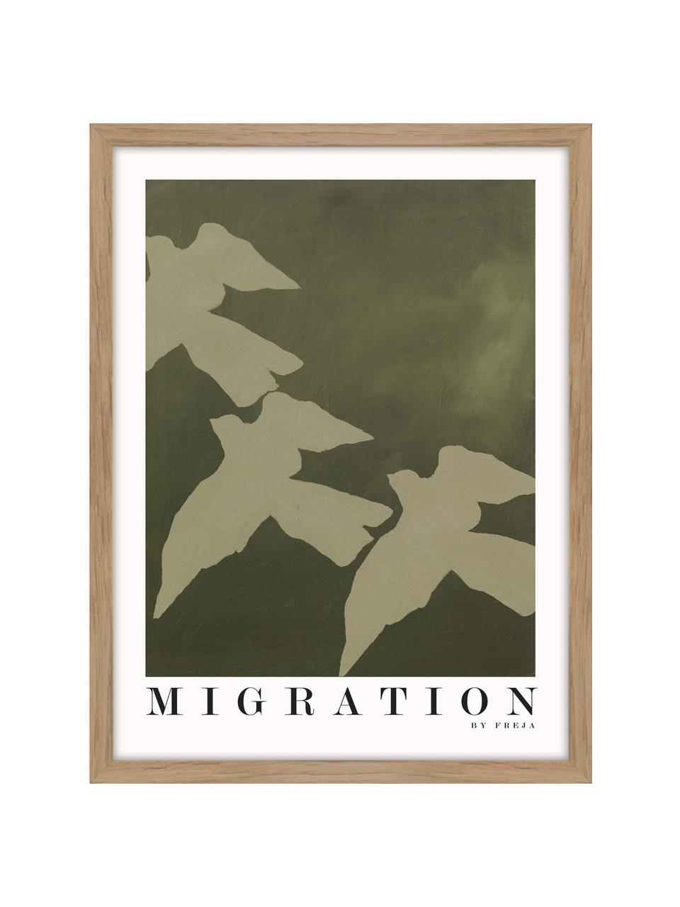 Stampa digitale incorniciata Migration, Immagine: cartoncino pressato duro, Cornice: legno di quercia, Verde, bianco, nero, Larg. 30 x Alt. 40 cm
