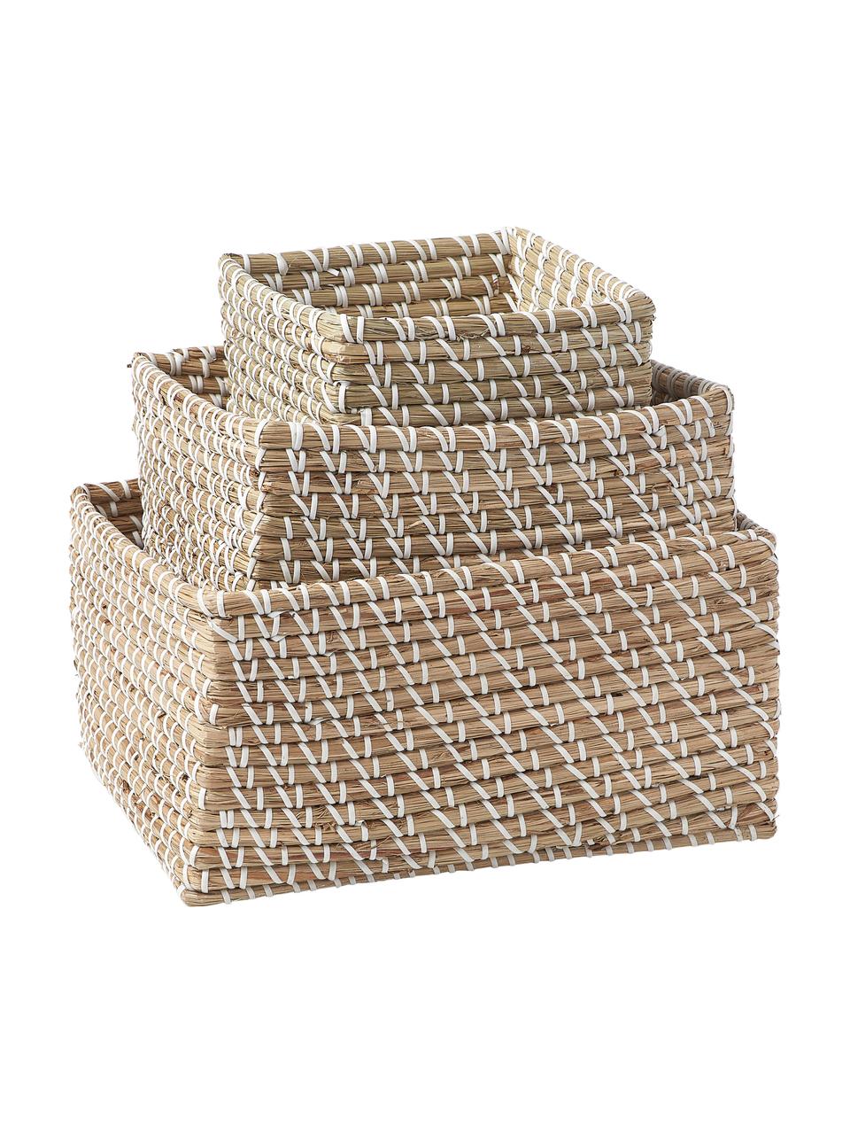 Set 3 scatole portaoggetti in fibra naturale Aleya, Alghe, Beige, Set in varie misure