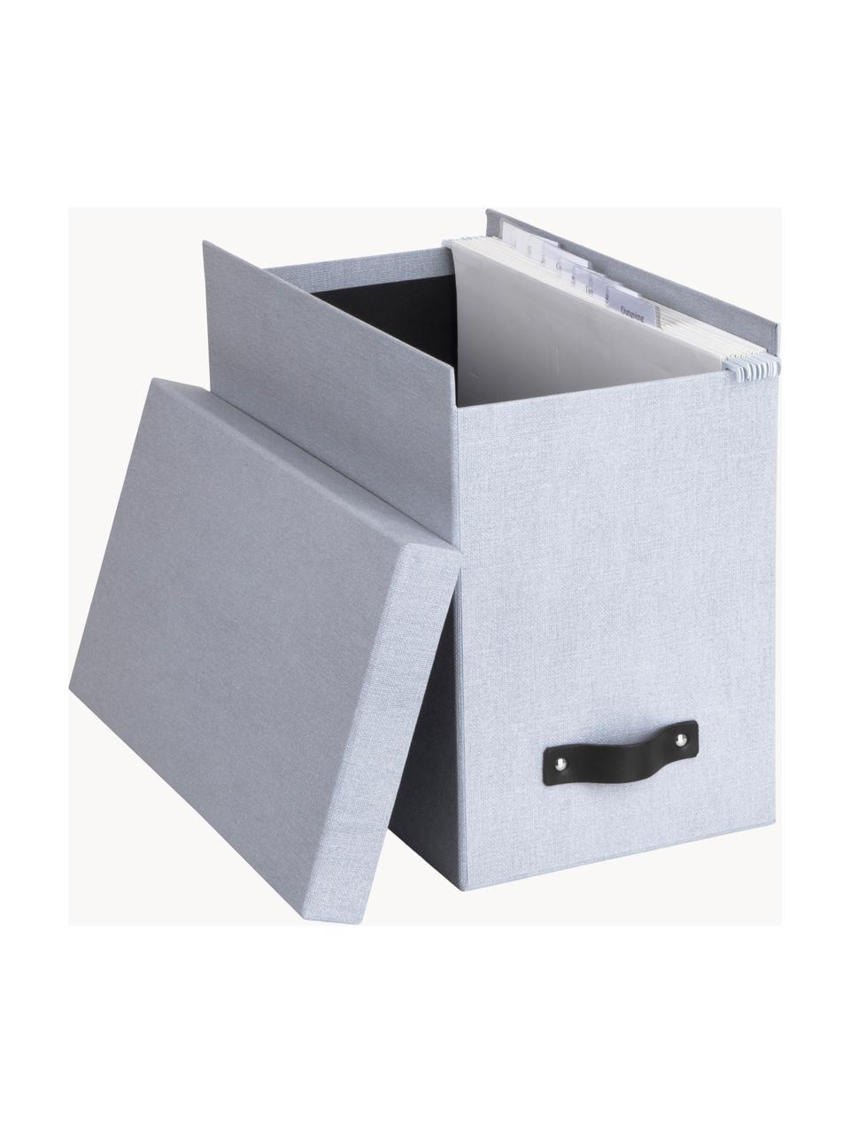 Caja organizadora Jahan, Caja: canvas, cartón rígido (10, Asa: cuero, Gris claro, marrón, L 19 x An 35 cm