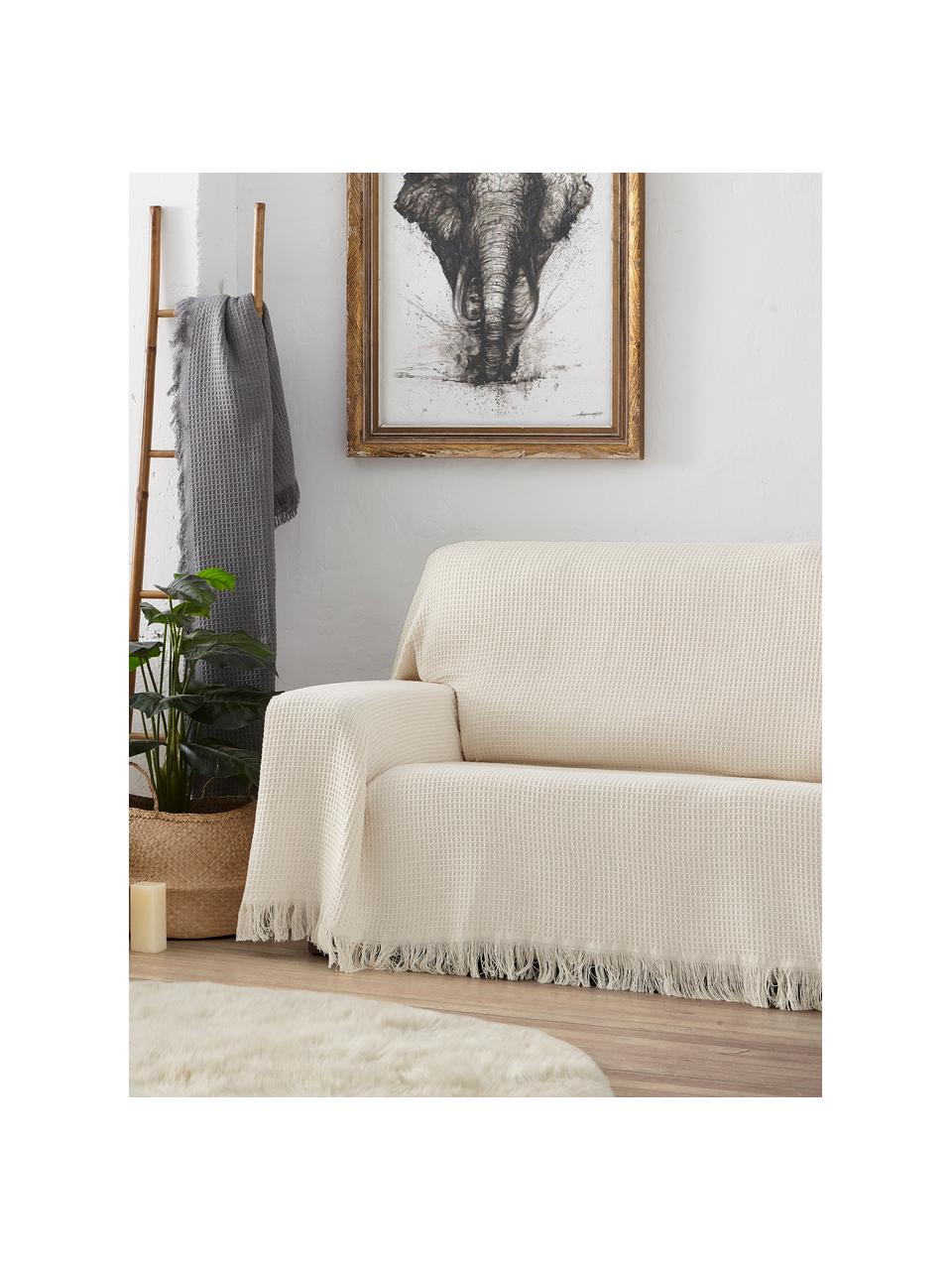 Wielofunkcyjna narzuta na sofę Amazons, 80% bawełna, 20% inne włókna, Szarozielony, S 180 x D 260 cm