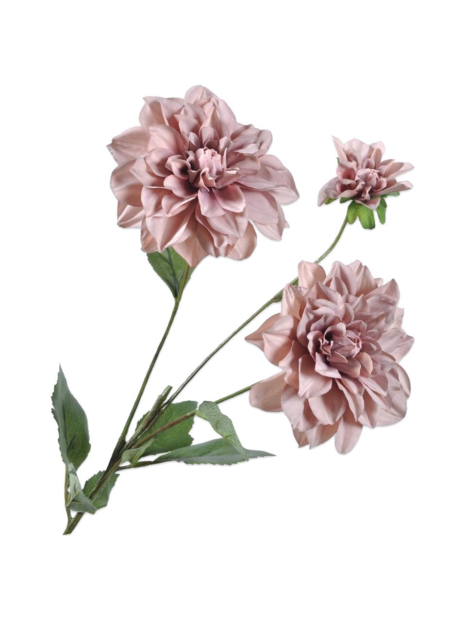 Květinová dekorace Dahlien, 2 ks, Umělá hmota, kovový drát, Starorůžová, D 75 cm