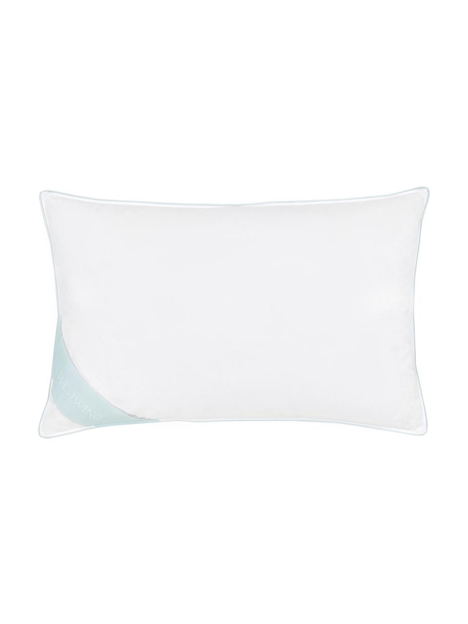 Cuscino in piuma Comfort, duro, Bianco con fascia di stoffa in raso turchese, Larg. 50 x Lung. 80 cm