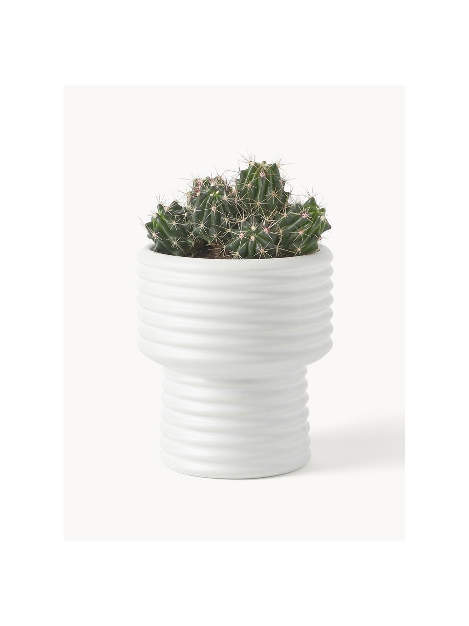 Portavaso Farida, alt. 18 cm, Gres, Bianco latte, Ø 16 x Alt. 18 cm