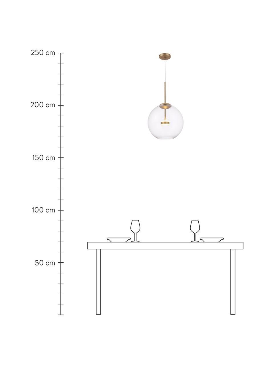 Suspension LED boule en verre Cometa, Transparent, couleur dorée, noir, Ø 35 x haut. 35 cm