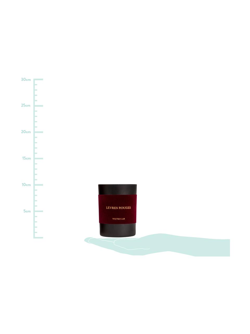 Duftkerze Levres Rouges (Moschus & Vanille), Behälter: Glas, beflockt, Schwarz, Rot, Ø 8 x H 10 cm