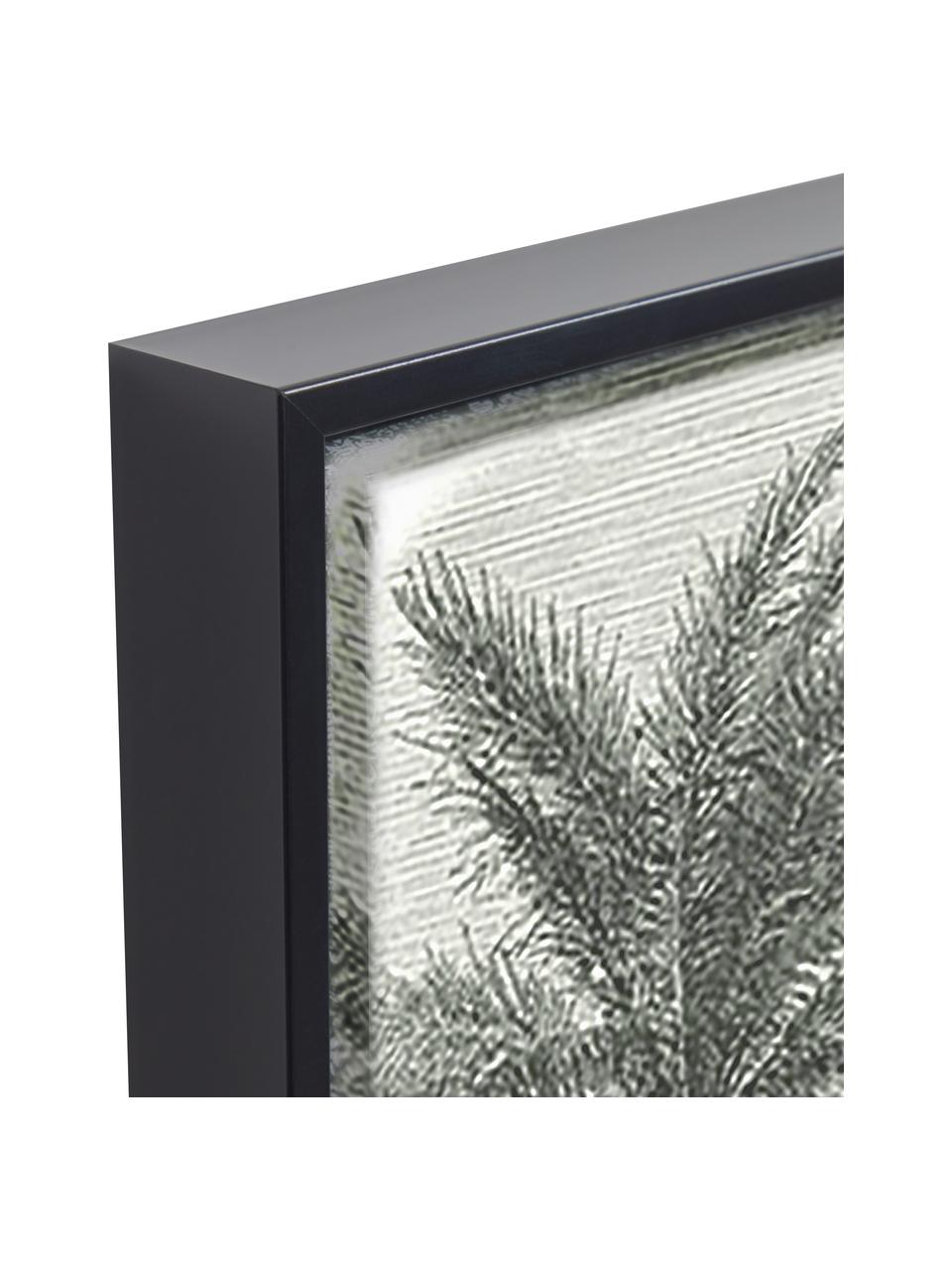 Gerahmter Digitaldruck Bamidele, Rahmen: Mitteldichte Holzfaserpla, Bild: Leinwand, Grün, Beige, B 60 x H 90 cm