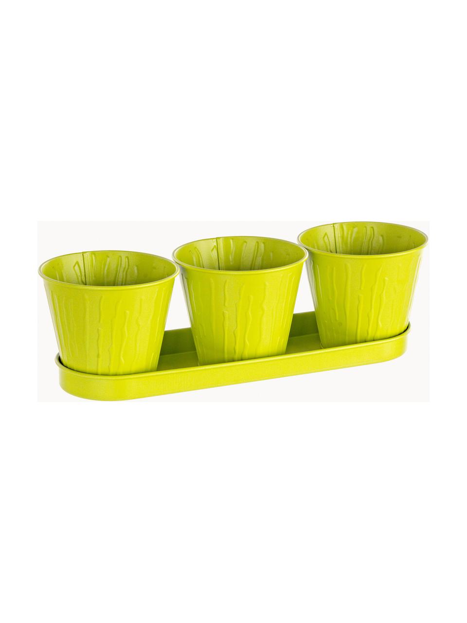 Set portavasi piccoli Bark 4 pz, Metallo rivestito, Verde lime, Set in varie misure