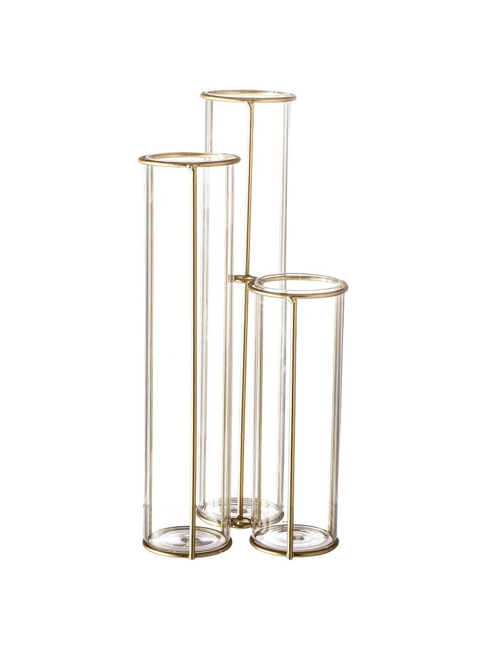 Vaso con struttura in metallo Gerbera, Struttura: metallo rivestito, Vaso: vetro, Ottonato trasparente, Larg. 12 x Alt. 25 cm
