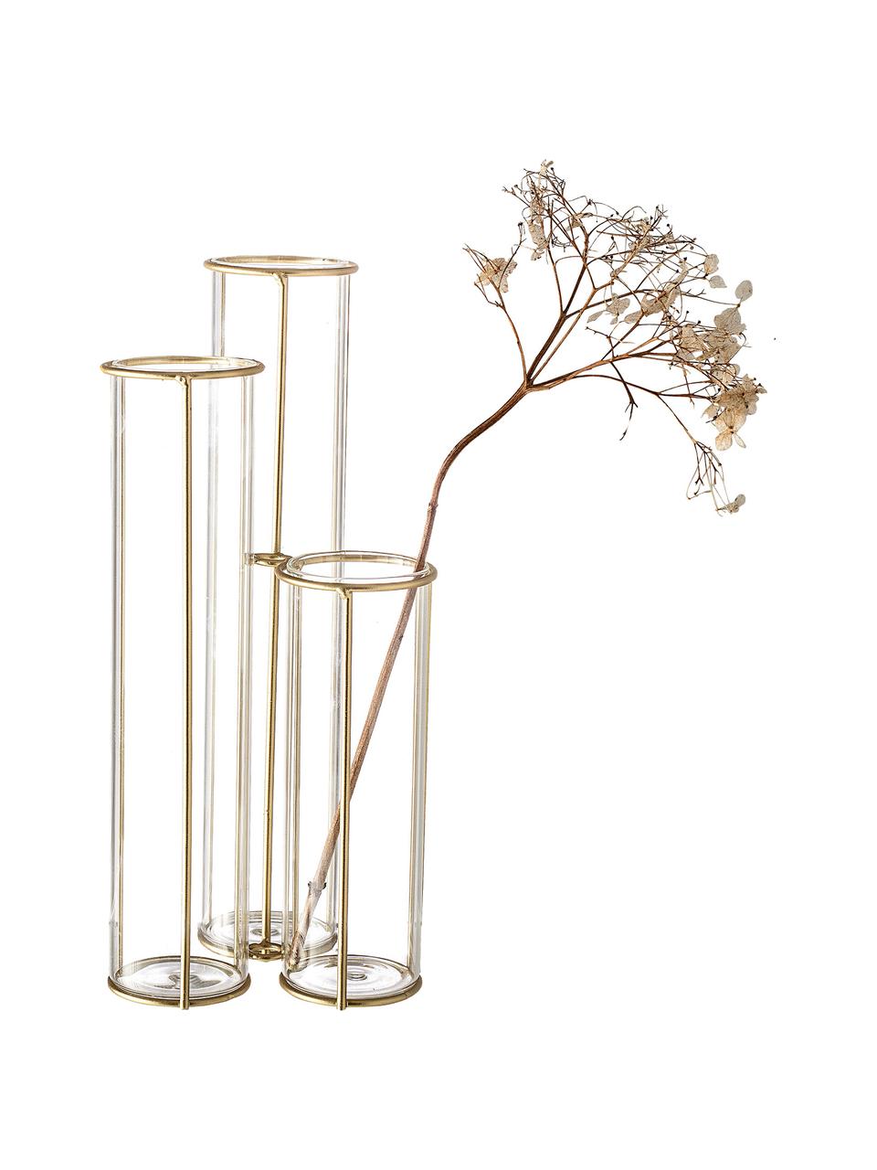 Vaso con struttura in metallo Gerbera, Struttura: metallo rivestito, Vaso: vetro, Ottonato trasparente, Larg. 12 x Alt. 25 cm