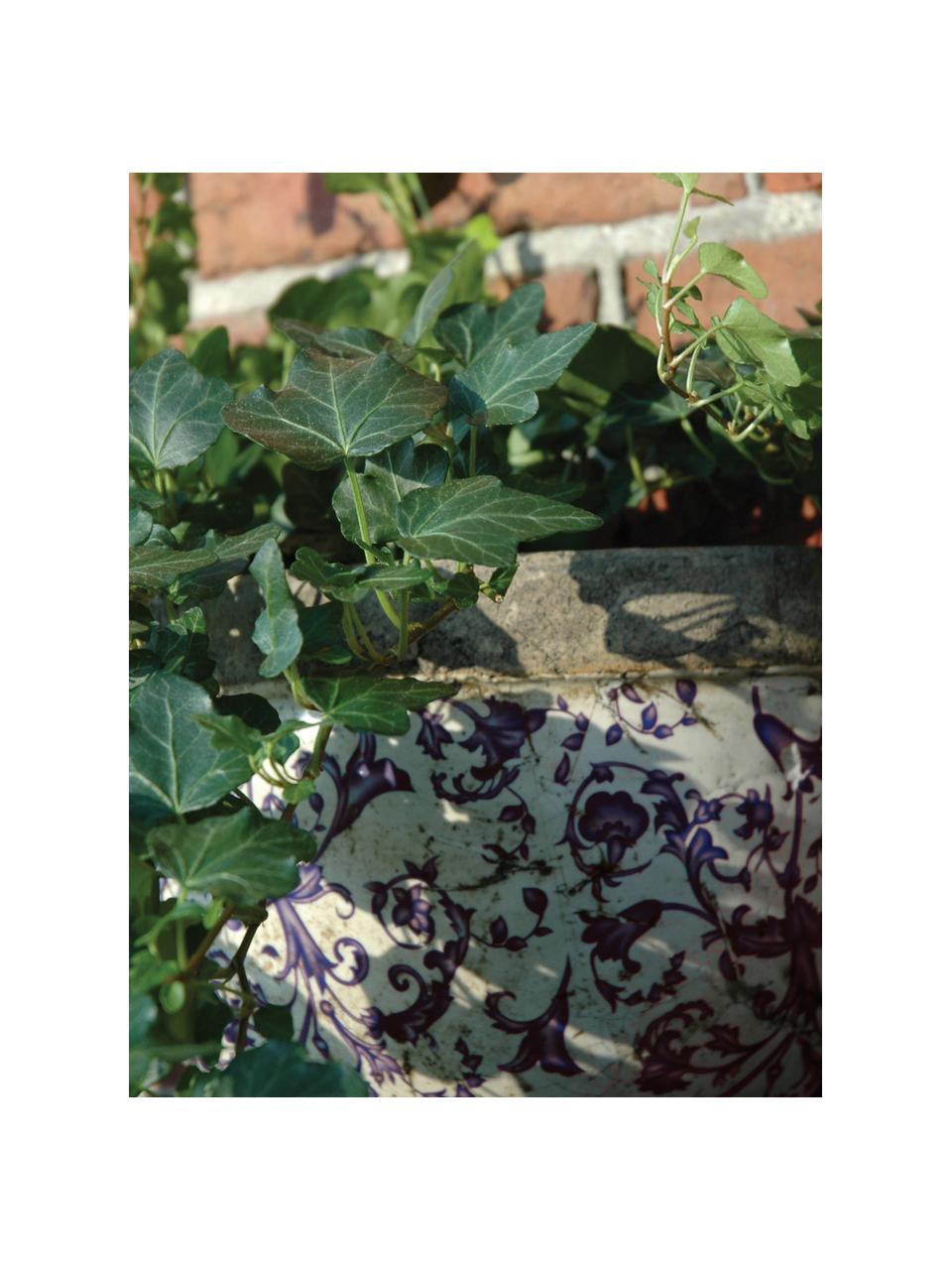 Grote wandplantenpot Cerino, Keramiek, Lila, wit, B 28 cm x H 18 cm
