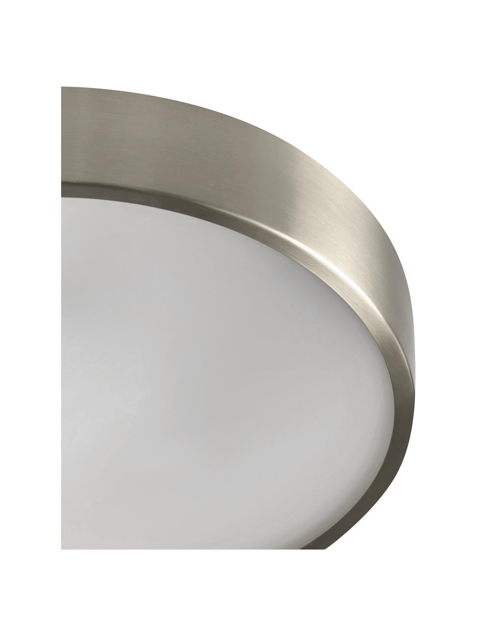 Plafón Dante, Estructura: metal, Plateado, Ø 40 x Al 7 cm