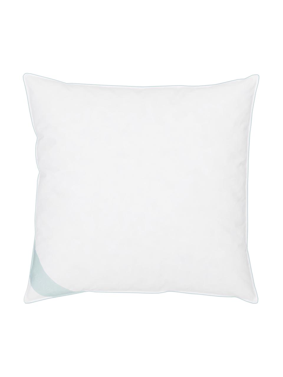 Cuscino medio con piuma d'oca Premium, Bianco con fascia di stoffa in raso turchese, Larg. 80 x Lung. 80 cm