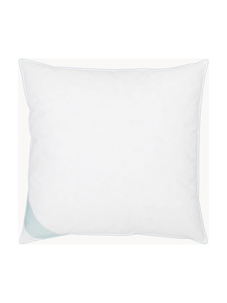Almohada de plumón Premium, normal, Blanco, An 80 x L 80 cm