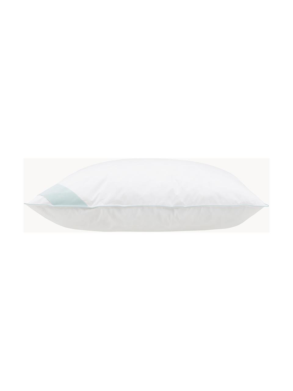 Almohada de plumón Premium, normal, Blanco, An 80 x L 80 cm