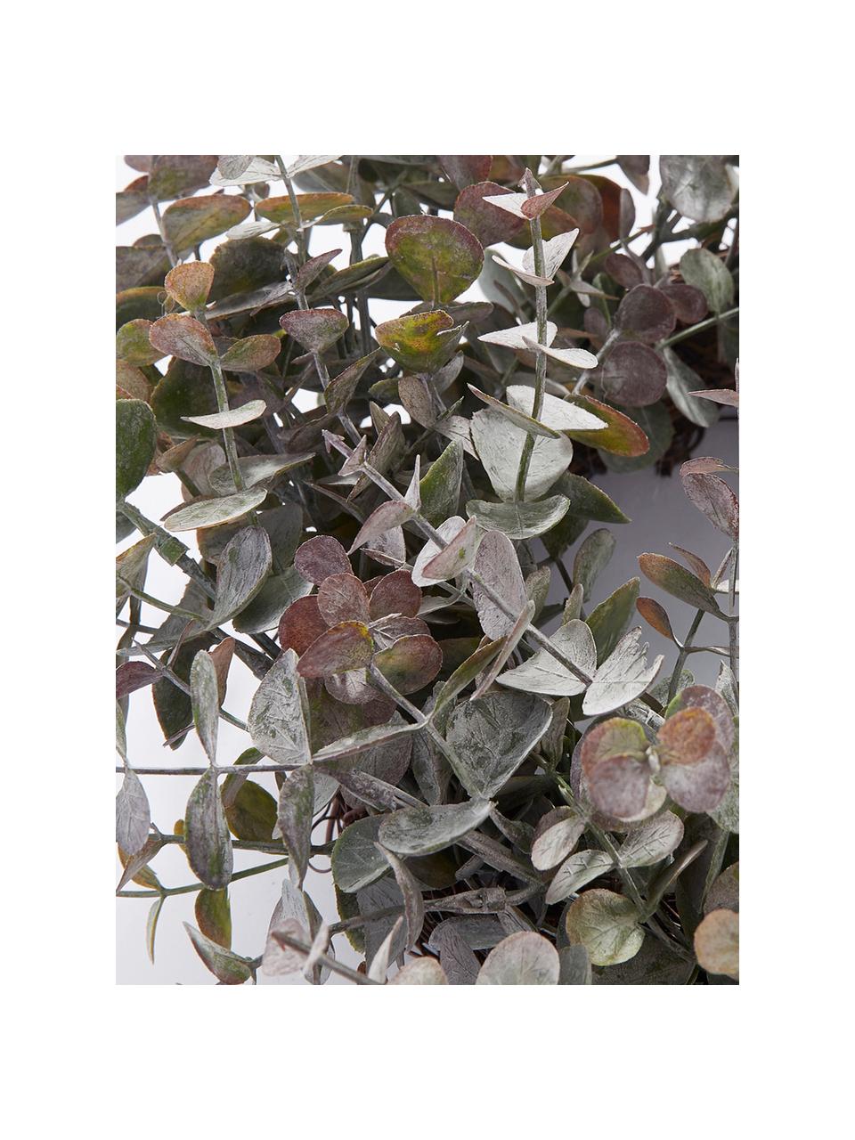 Couronne décorative eucalyptus artificiel Eurelia Ø 46 cm, Plastique, Poudre verte, Ø 46 x haut. 10 cm