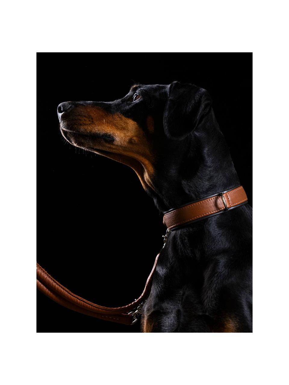 Collier pour animaux domestiques en cuir nappa Amici, tailles variées, Brun, long. 40 cm